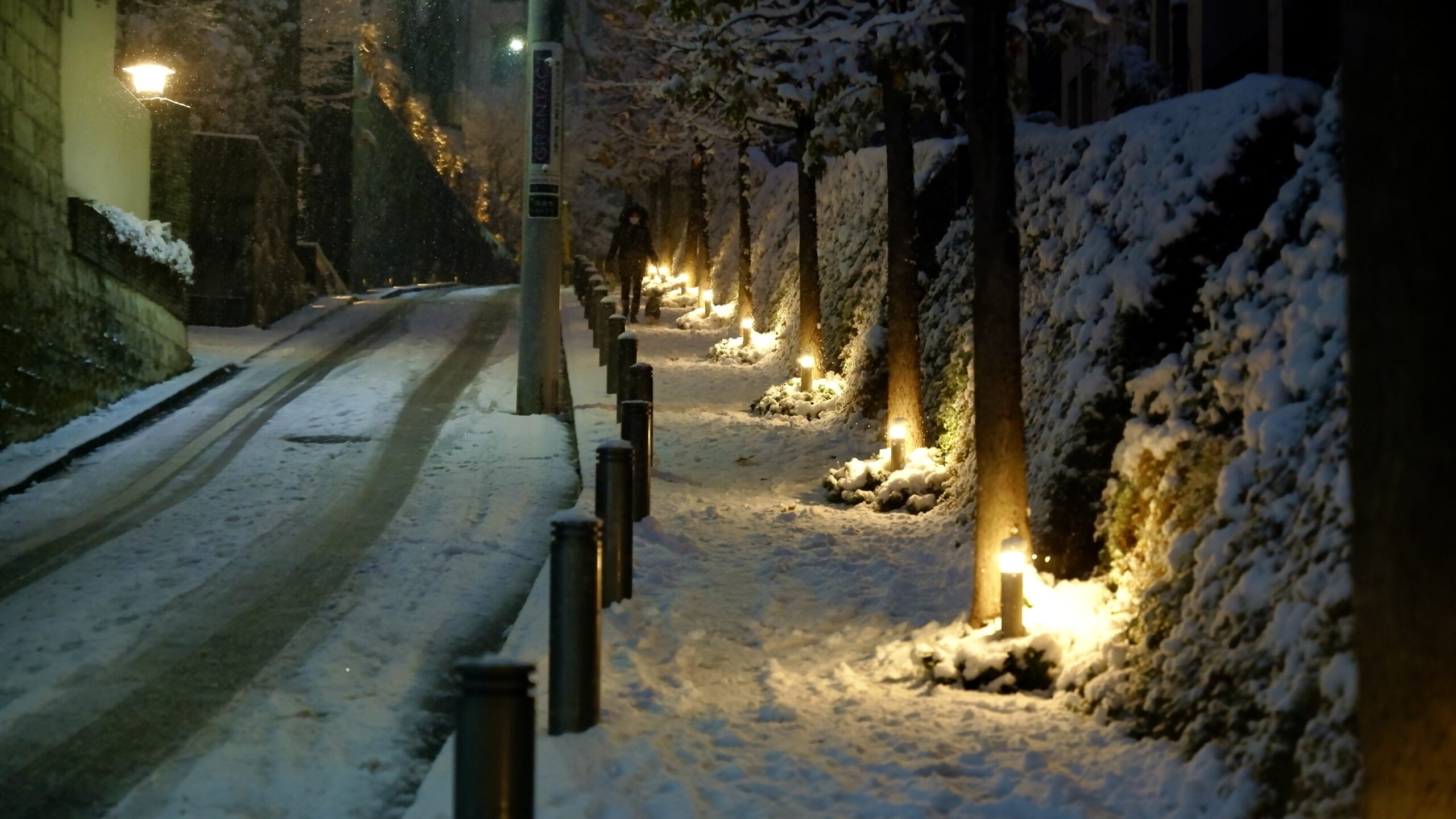 Aokizaka Hill snowy night