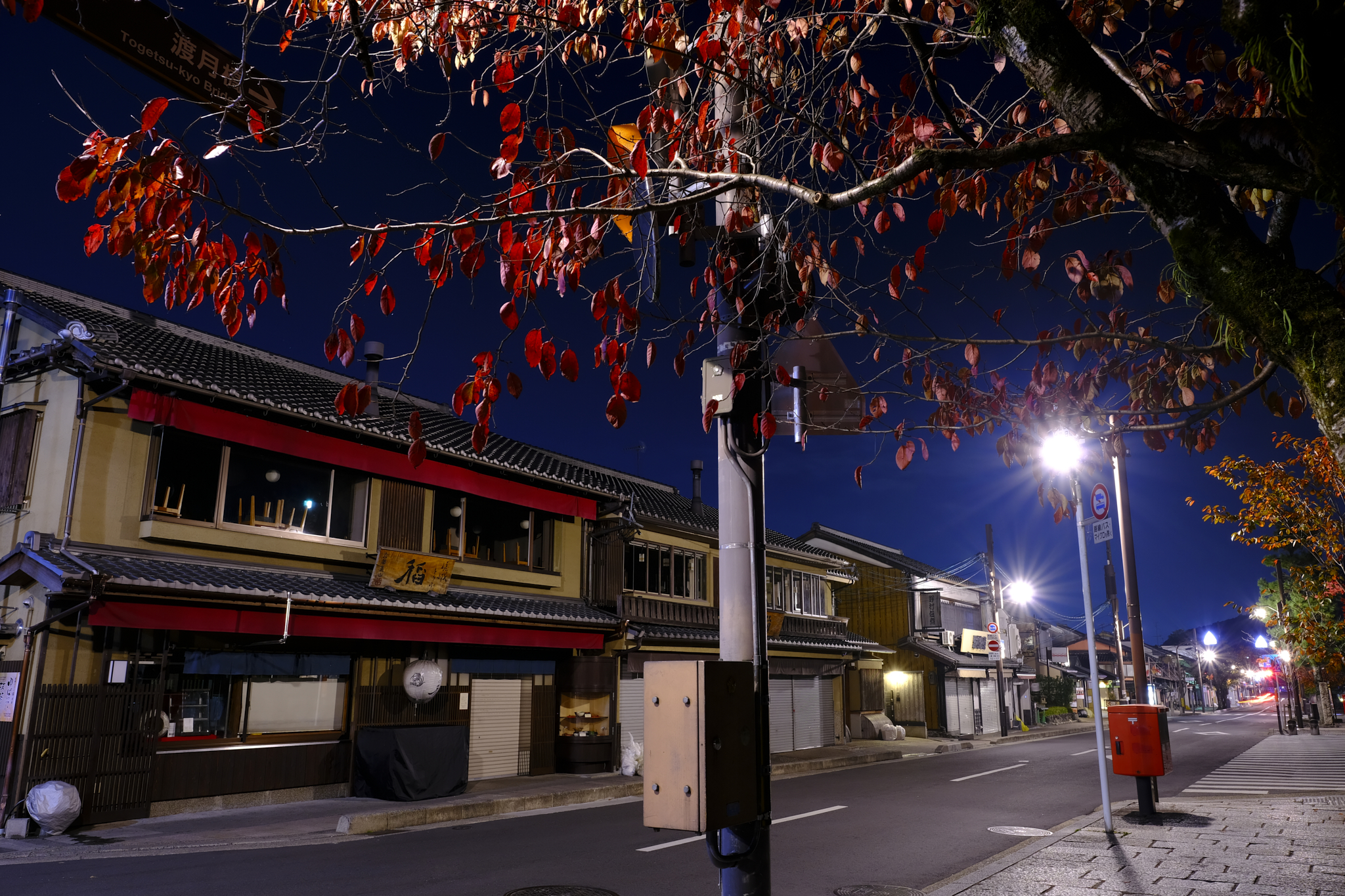 Arashiyama autumn night