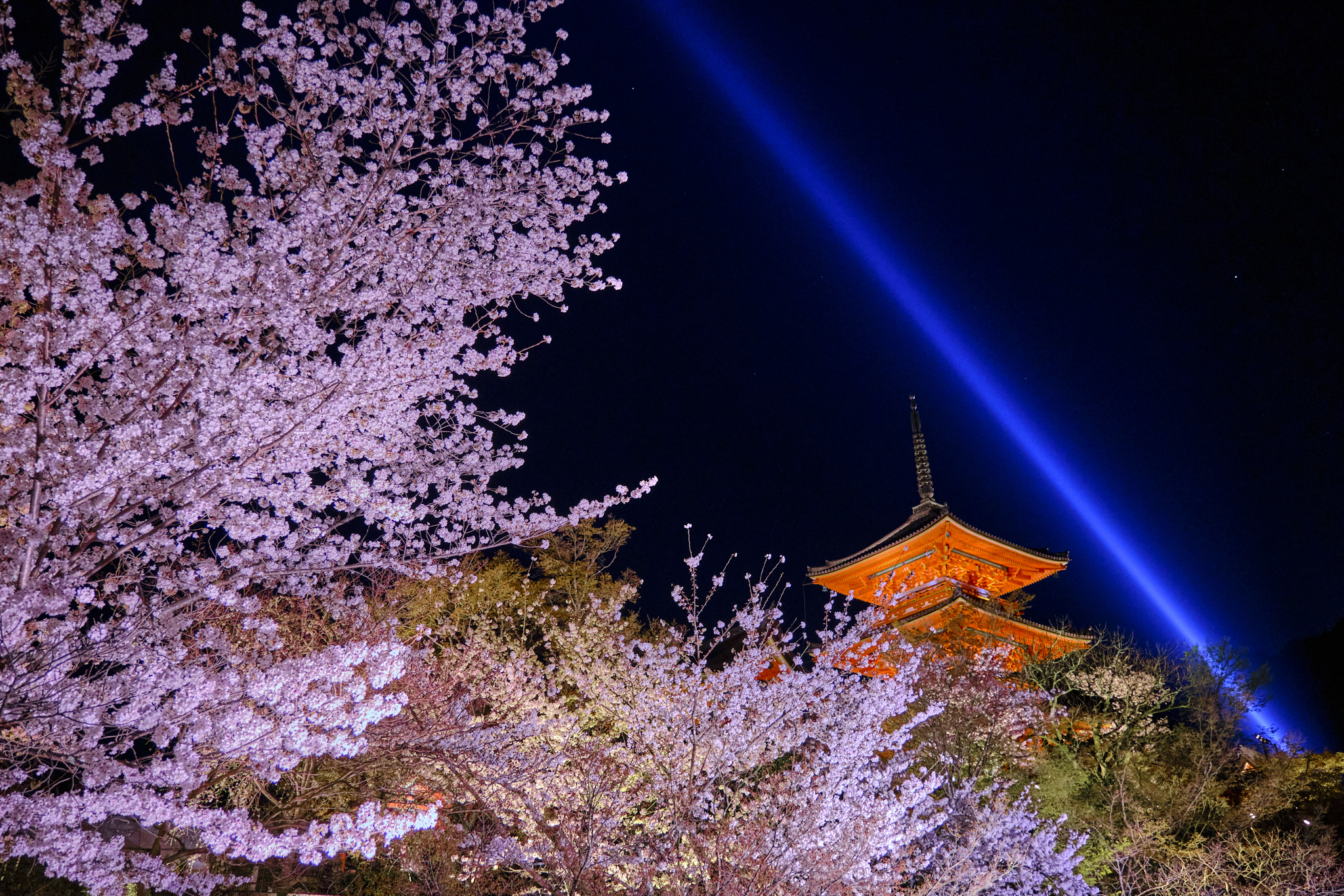 Kiyomizu Temple spring illuminations