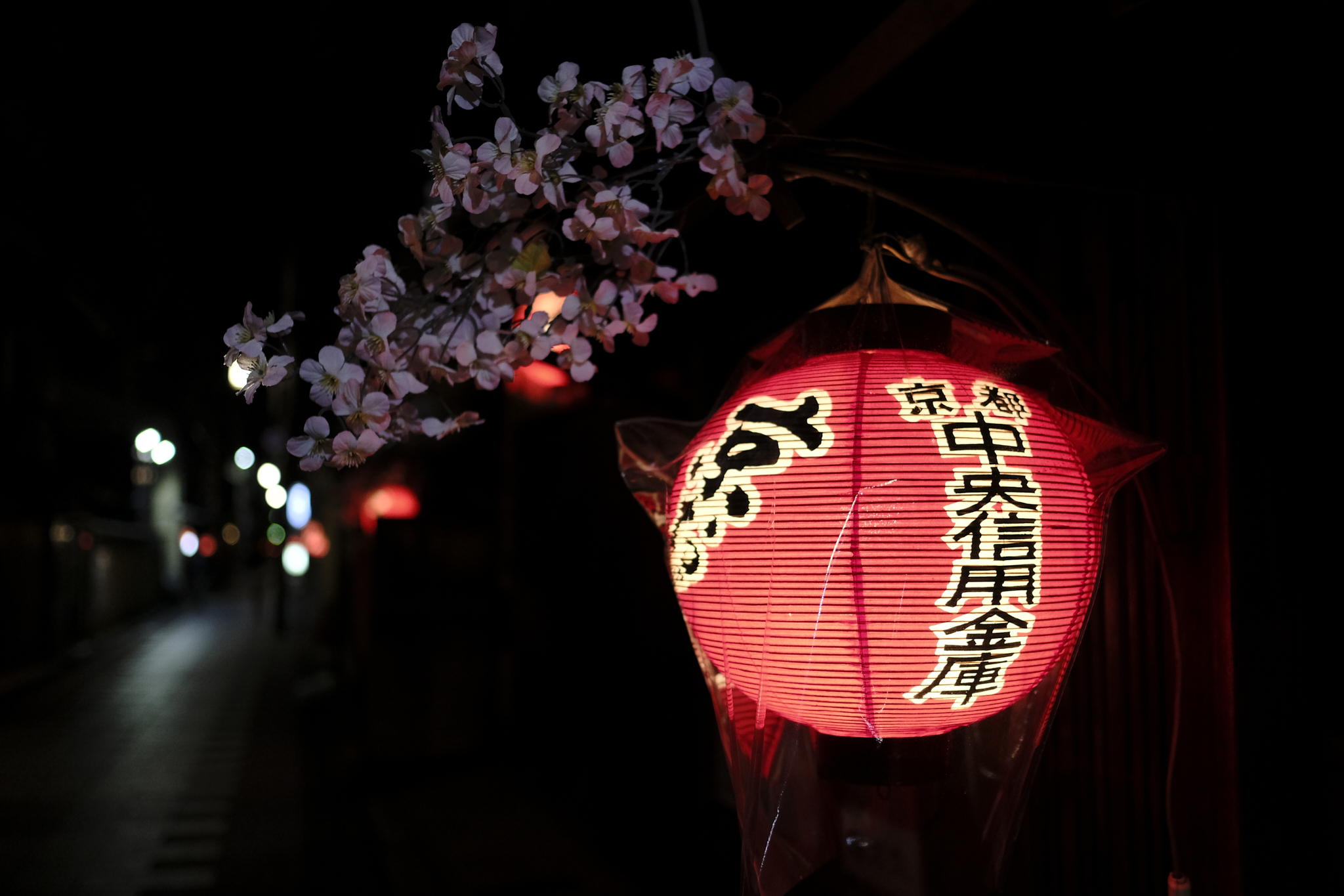 Quiet spring in Miyagawacho