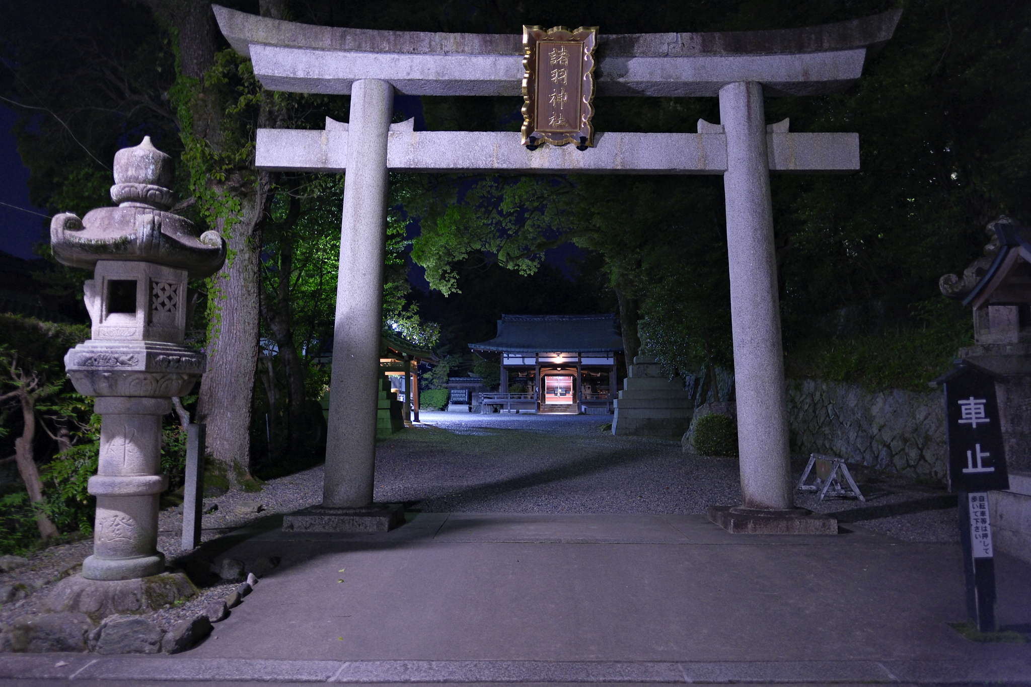 Moroha Shrine torii 